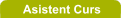 asistent curs